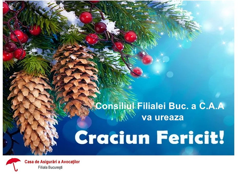 FelicitareCraciun04